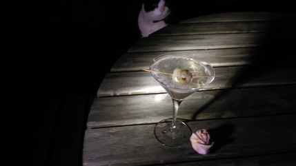 cat and cocktail.jpg